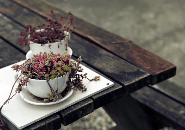 02.01 possum lodge campground