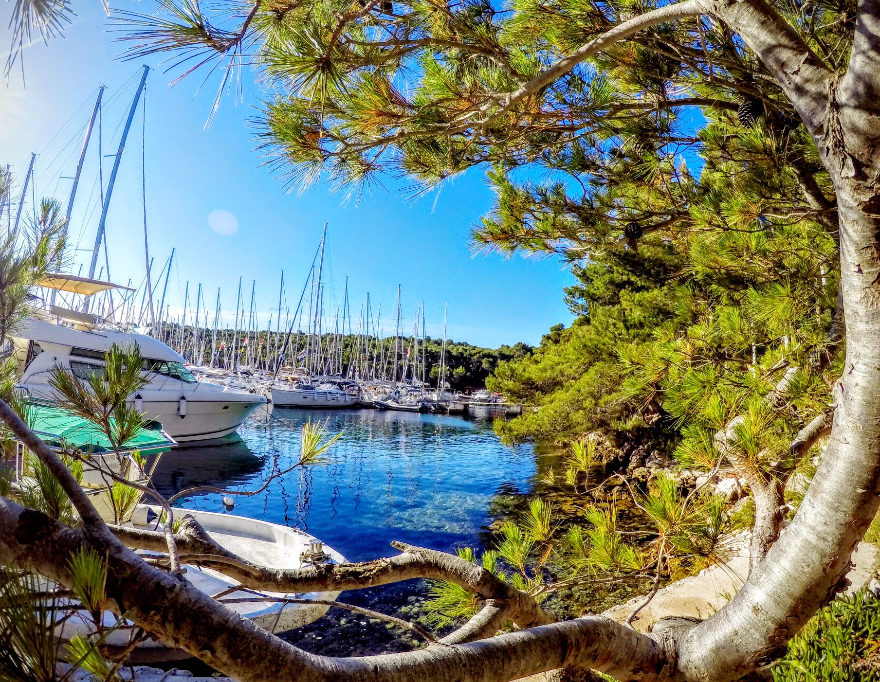 DCIM100GOPROGOPR2267.